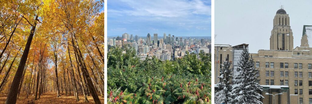 Montréal - photos Melanie Moan